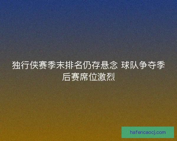 独行侠赛季末排名仍存悬念 球队争夺季后赛席位激烈