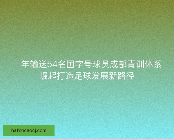 一年输送54名国字号球员成都青训体系崛起打造足球发展新路径